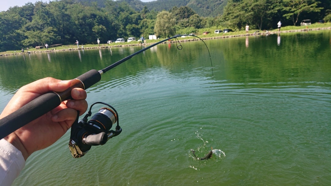 超個人的なロッドインプレッション ヴァルケイン ダーインスレイヴ