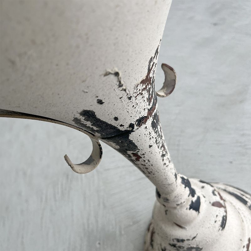 コベントガーデン/ヴェルス・トールカップ/LW-74 - 花材通販はなどんや