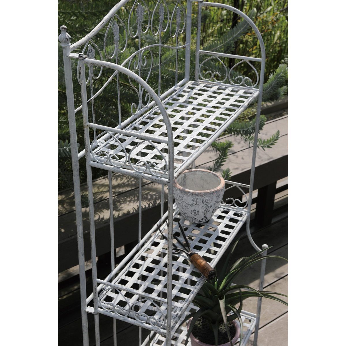 コベントガーデン/ヴァイス・フォーティアシェルフ/FX-05 - 花材通販は