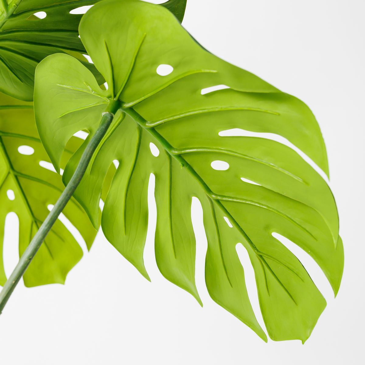 直送】【人工観葉植物】アスカ/モンステラポット グリ-ン/A-50813-051A