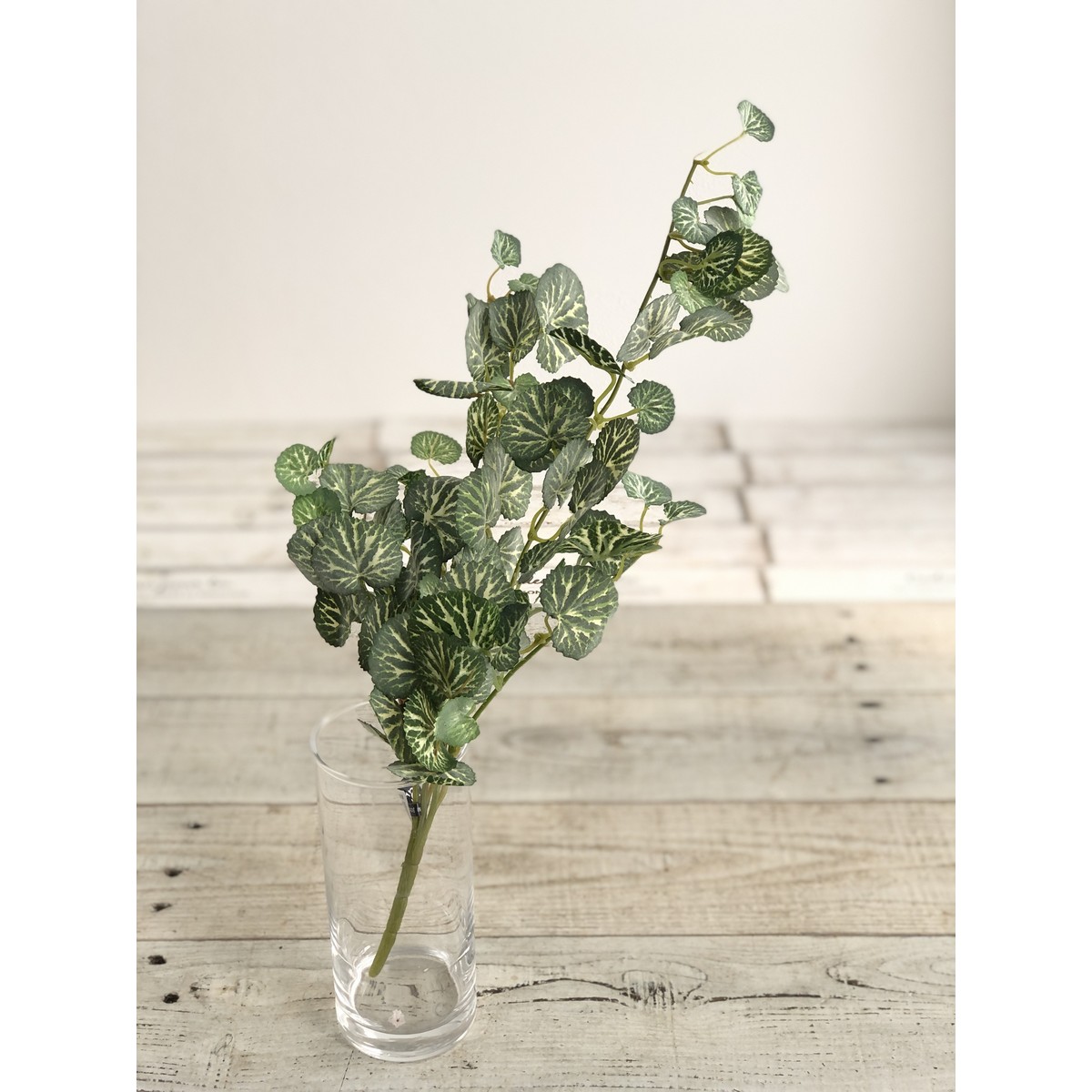 造花】アスカ/ユキノシタバイン ヴァリゲイトグリーン/A-43794-51V