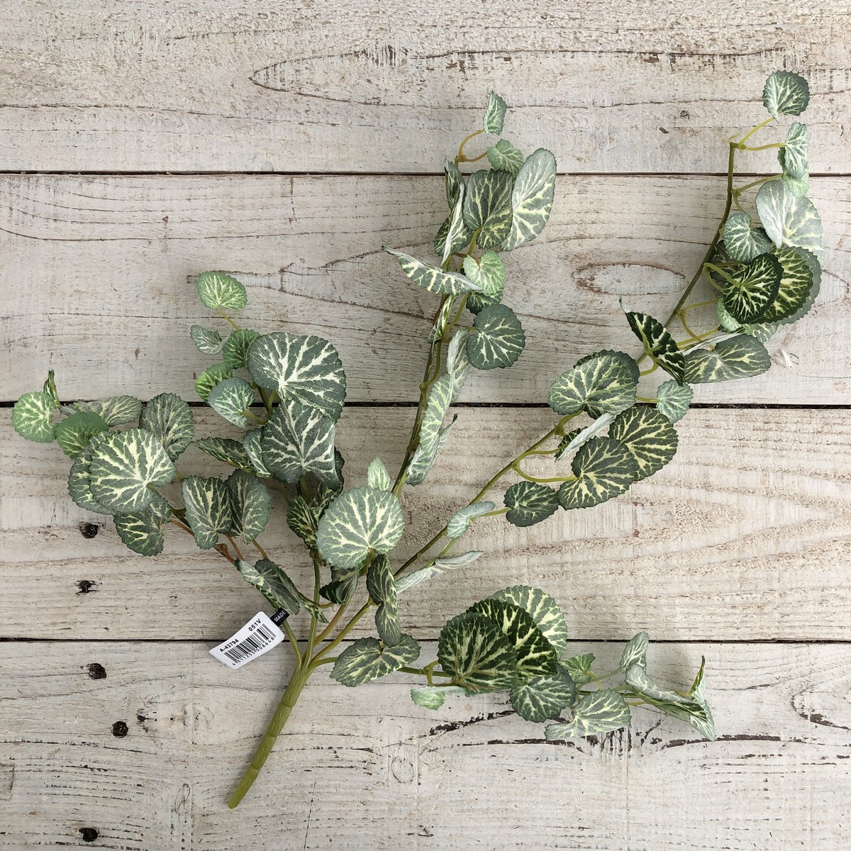 造花】アスカ/ユキノシタバイン ヴァリゲイトグリーン/A-43794-51V