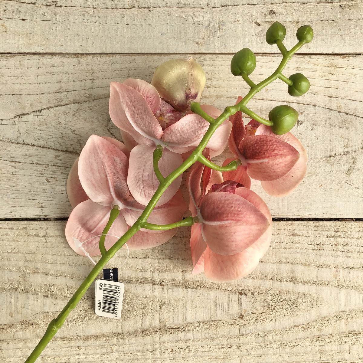 即日☆【造花】アスカ/コチョウラン×5 つぼみ×5 ピーチバーガンディ/A