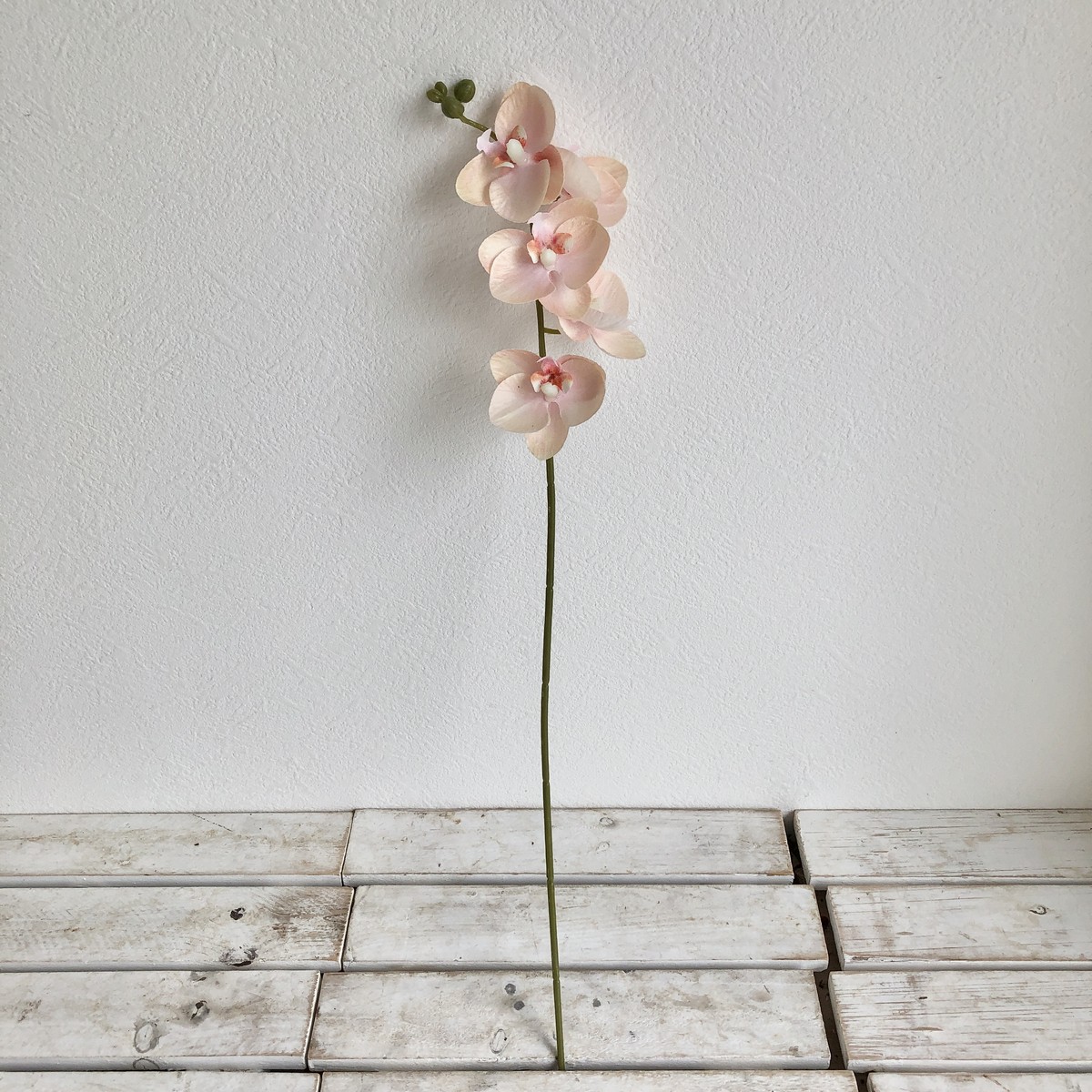 即日☆【造花】アスカ/ミディコチョウラン×5 つぼみ×4 ピーチ/A-35168