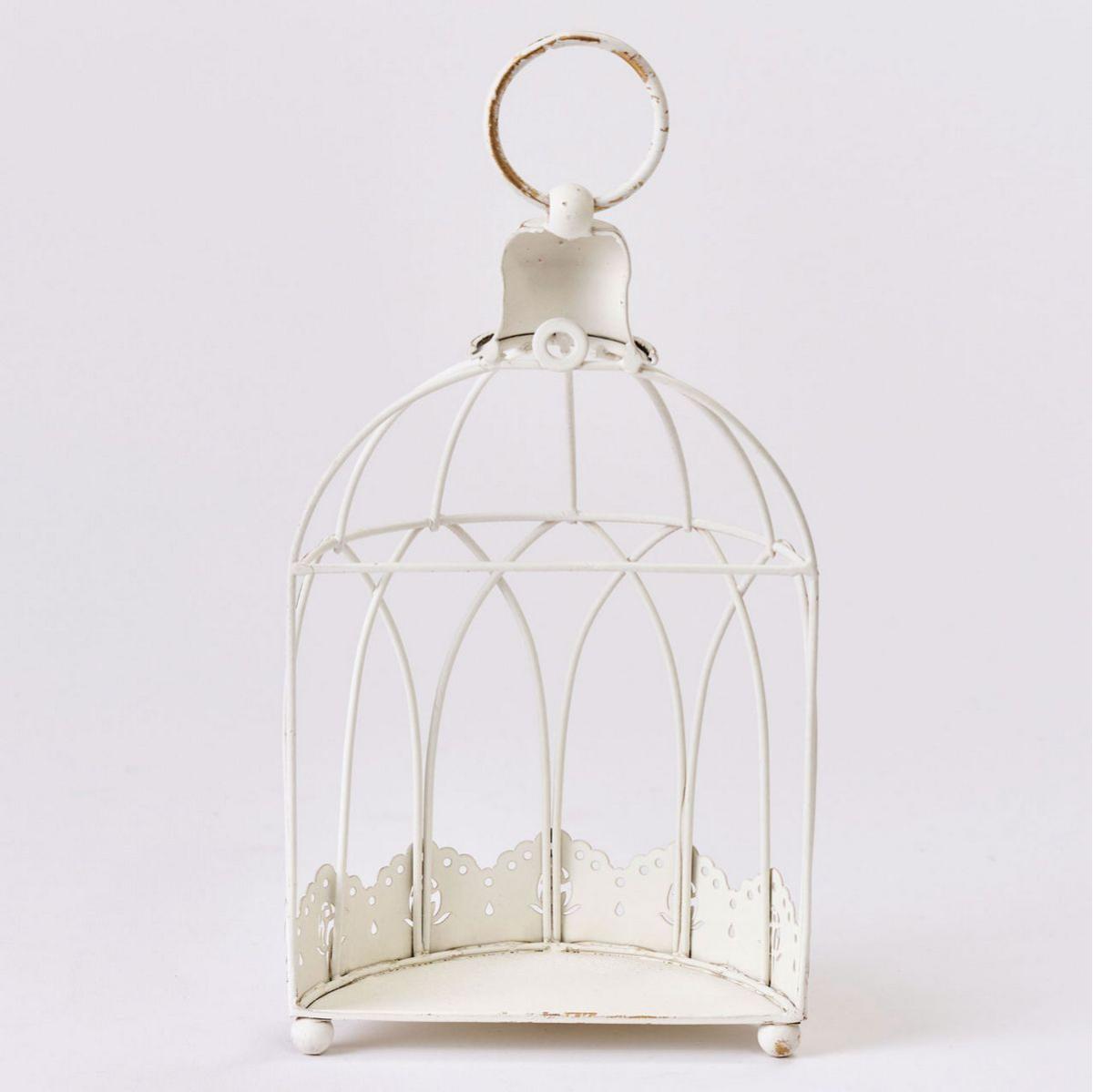 東京堂/エタンハーフバードゲージ /CX002107 - 花材通販はなどんやアソシエ