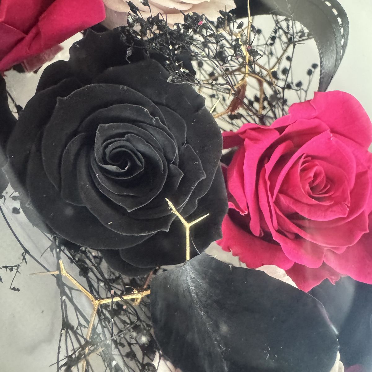 アウトレット◎即日☆【プリザーブド】大地農園/いずみ ローズカラー