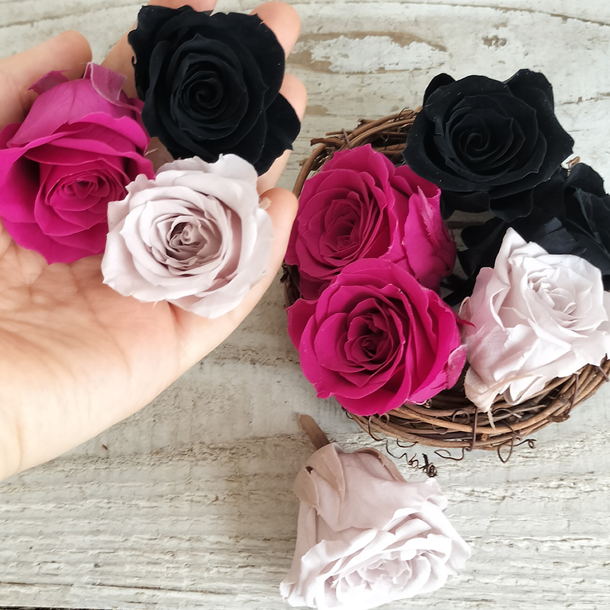 アウトレット◎即日☆【プリザーブド】大地農園/いずみ ローズカラー