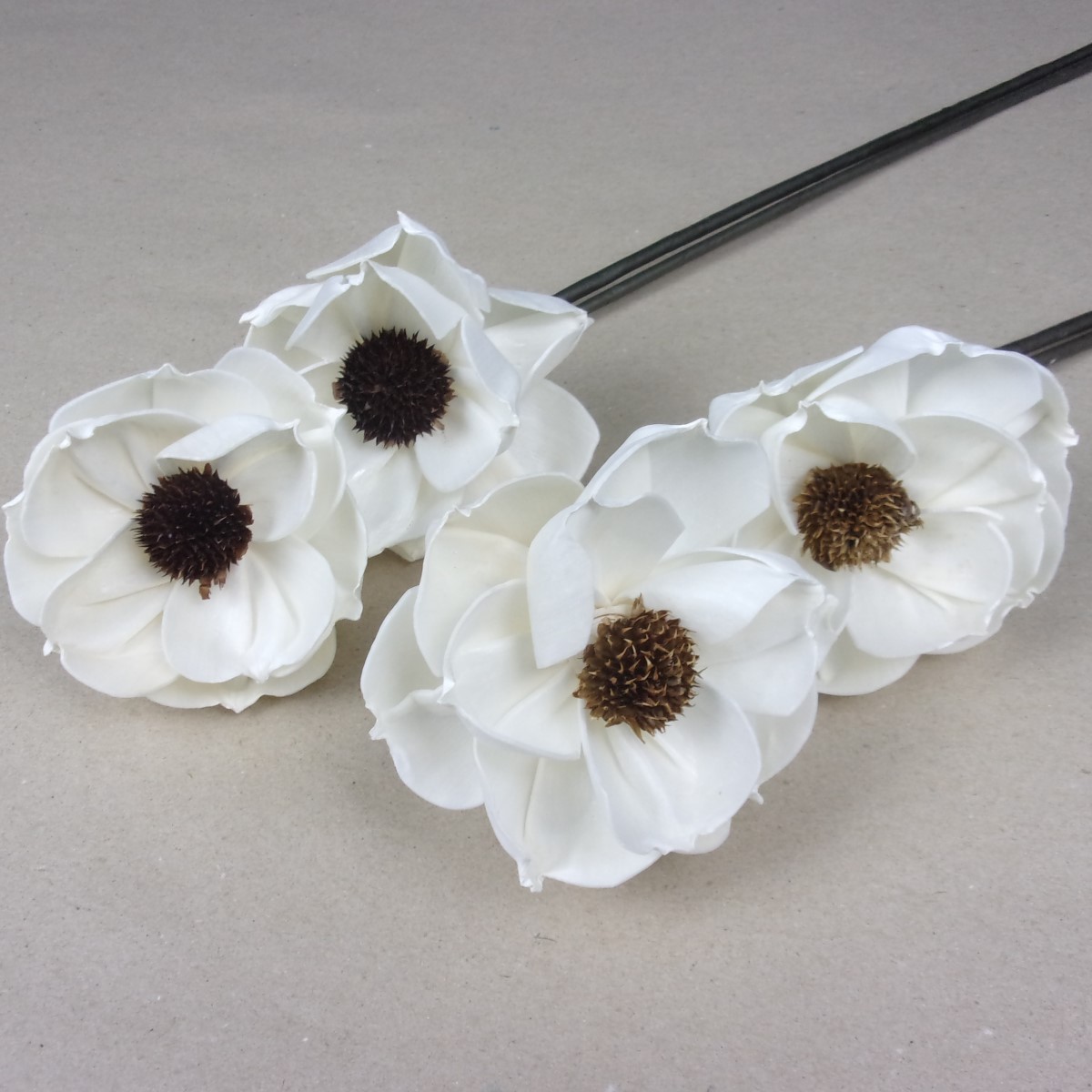 染め花リクエスト品 ポピー スィトピー アネモネ 3種類 ハンドメイド布