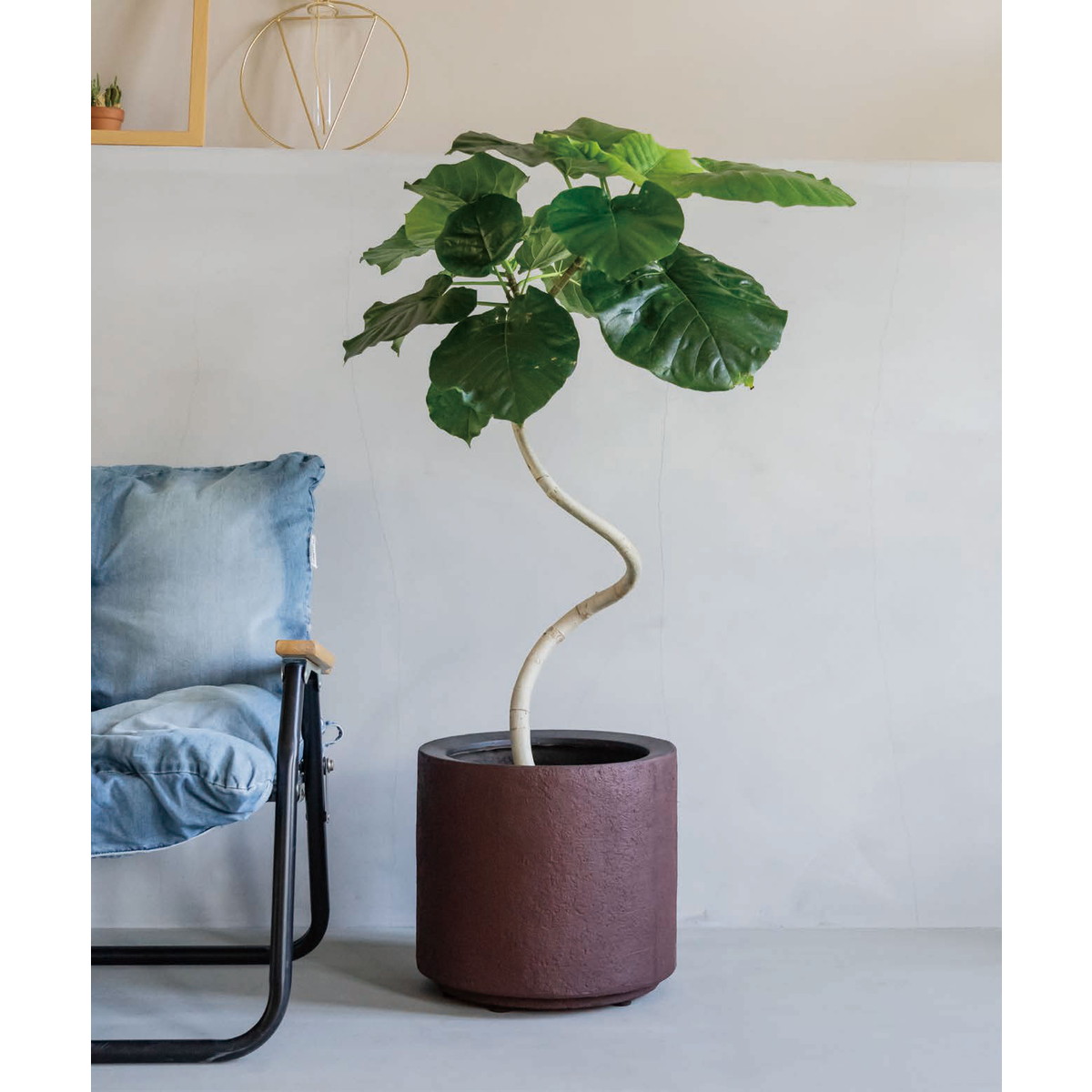 グリーンポット/ソルナ シリンダー パープル 33cm/EB-SC3330PL - 花材