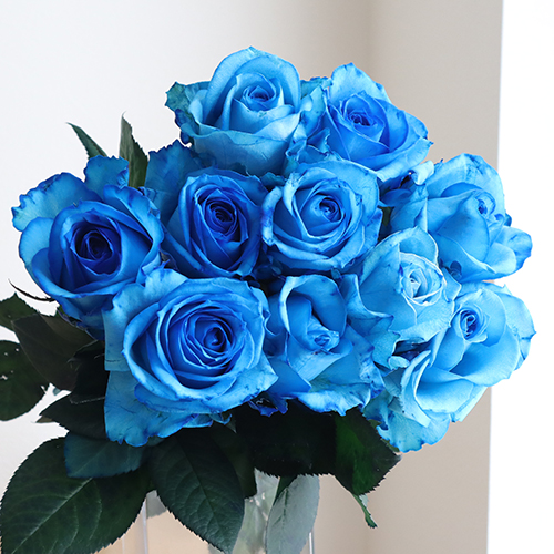 生花】バラ 染めロイヤルブルー(青)【早締切-75】 - 花材通販はなどん