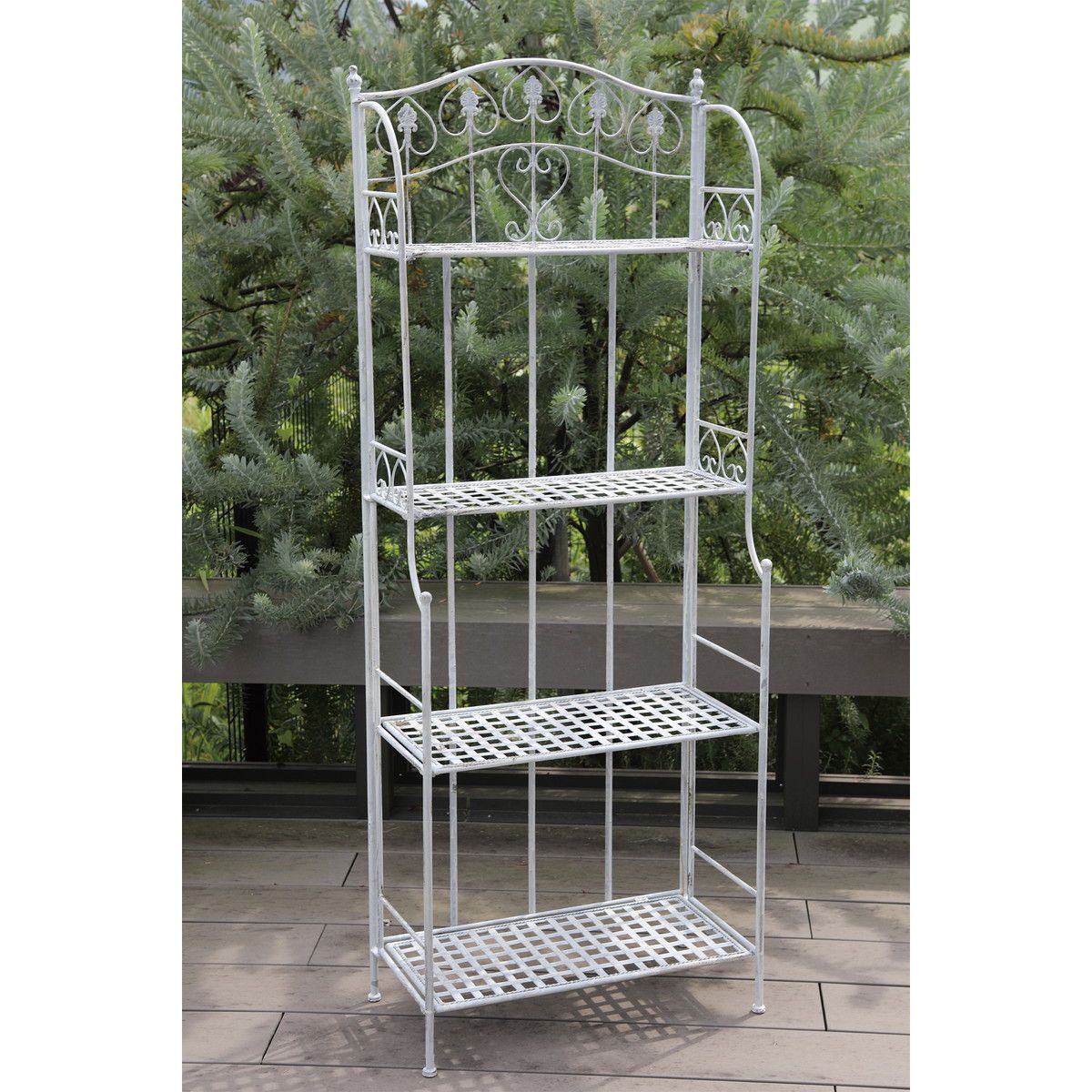 コベントガーデン/ヴァイス・フォーティアシェルフ/FX-05 - 花材通販は