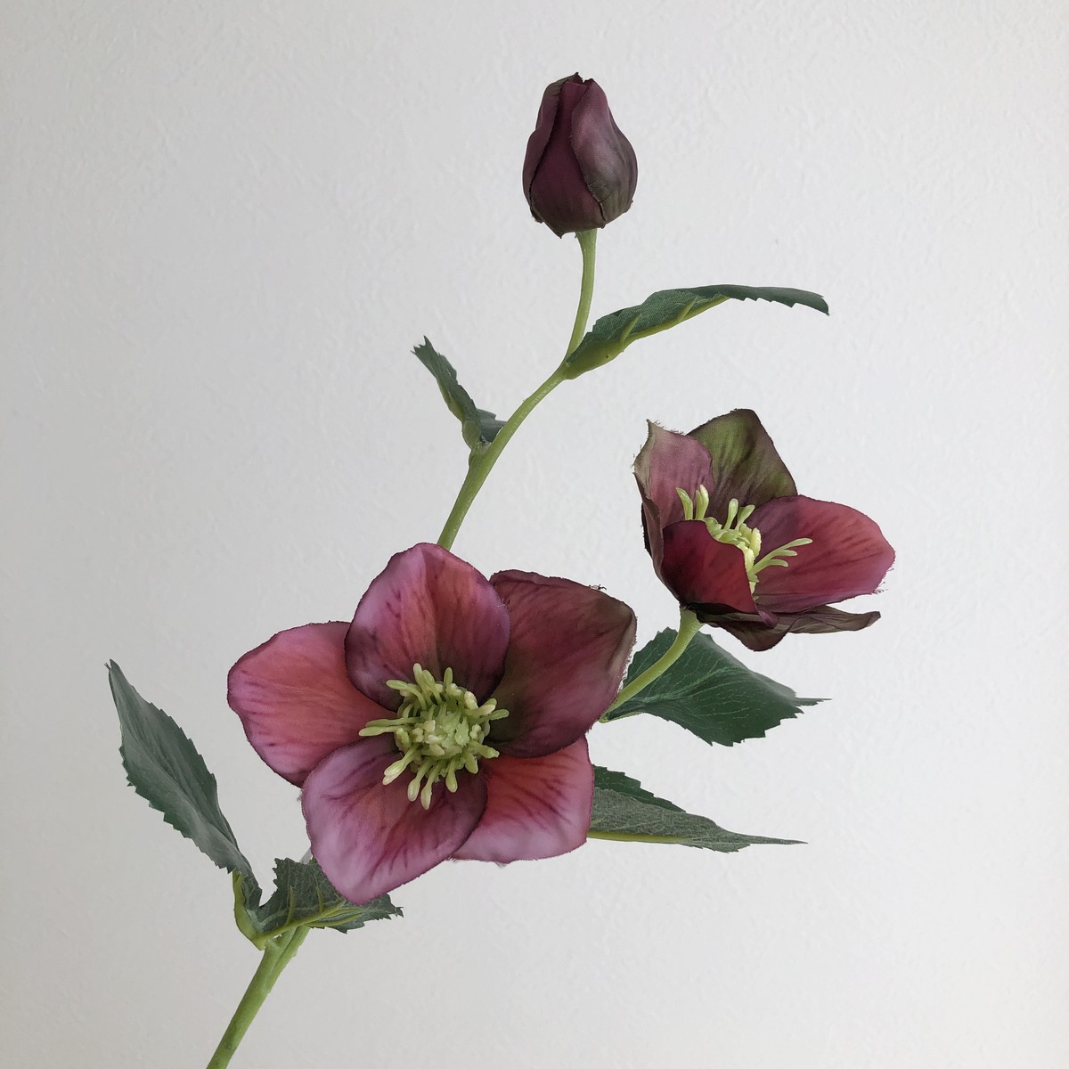 即日☆【造花】アスカ/クリスマスローズ×2 つぼみ×1 フッシャ/A-31116