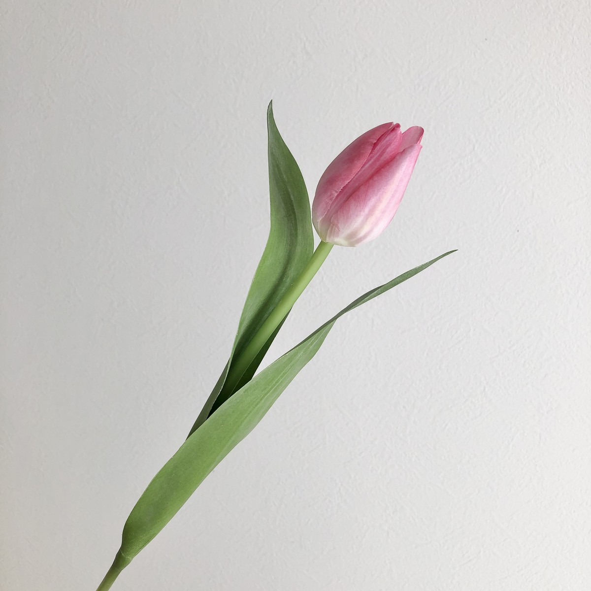 即日☆【造花】アスカ/チューリップ ピンク/A-33053-003 - 花材通販は