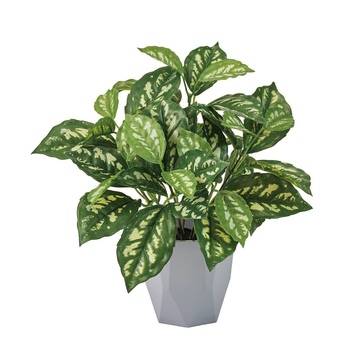 造花】MAGIQ東京堂/ピレアカディエレイミニポット GREEN グリーン