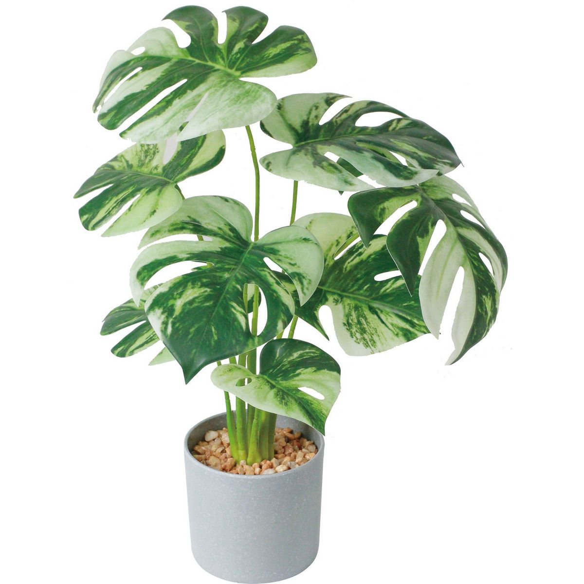 人工観葉植物】YDM/モンステラバリエガータセメントポット ホワイト