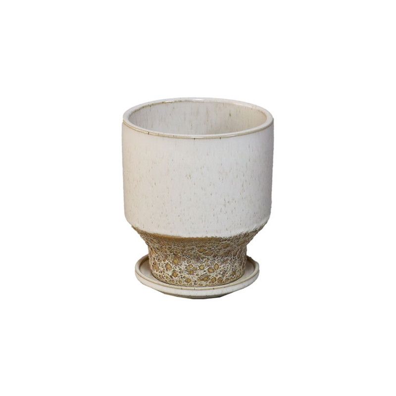 ミュールミル/サッカルシンボトムL/MC-006L - 花材通販はなどんやアソシエ