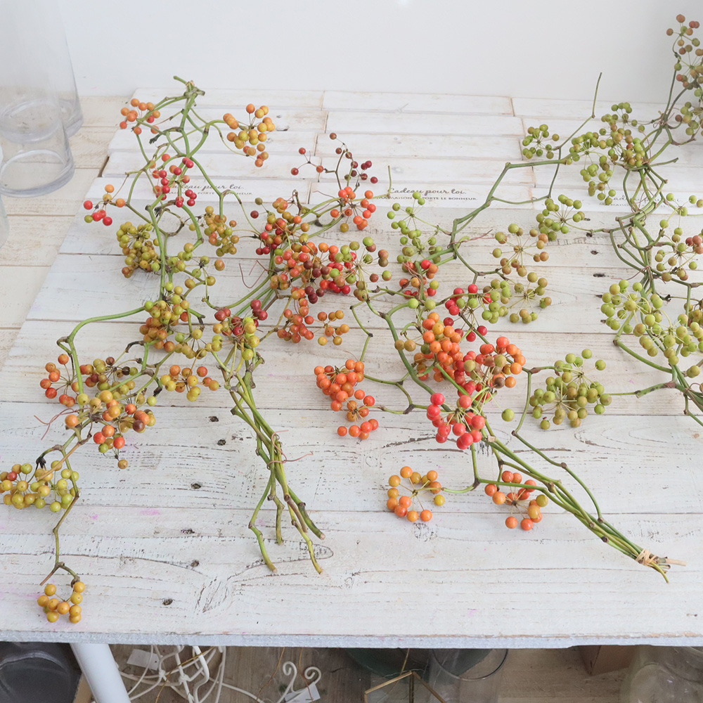 直前!!!】国産サンキライ 5-60cm程度(枝物)三宅島山上さん ※必ず商品