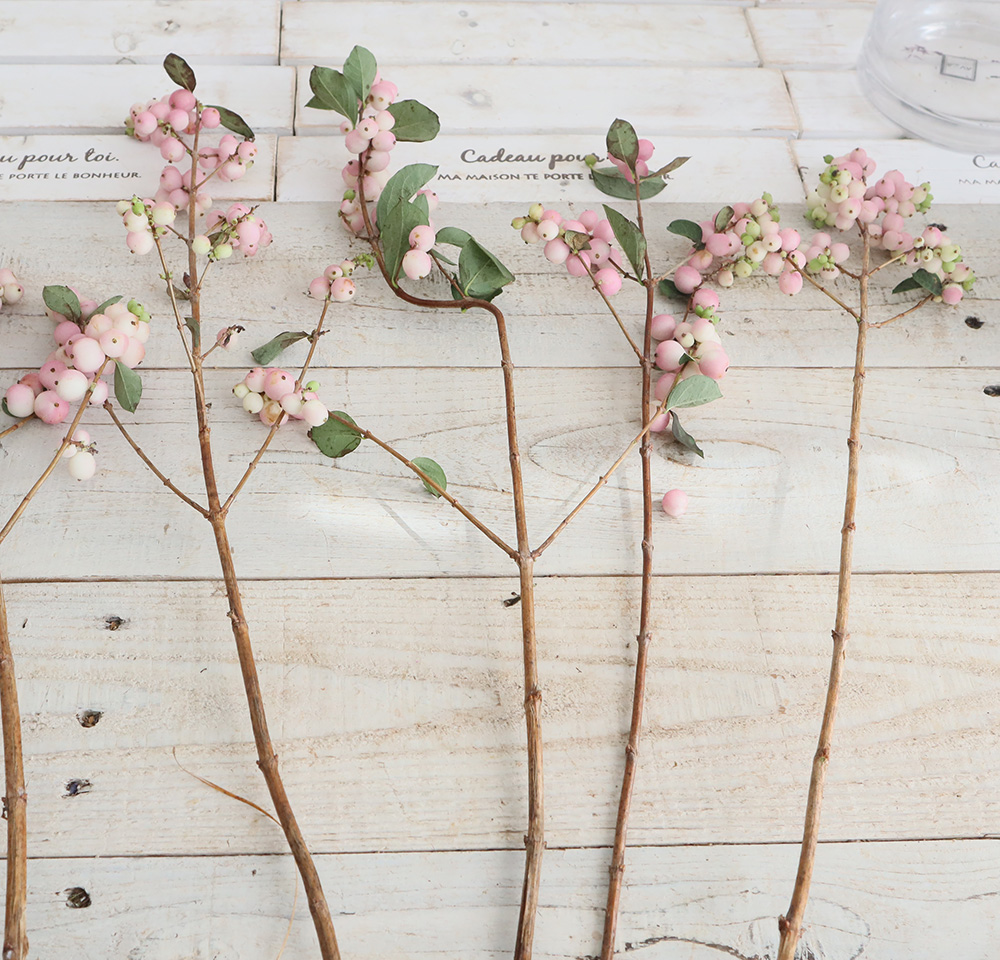 直前!】国産シンフォリカルポス (ピンク)マジカルオータルブラッシュ