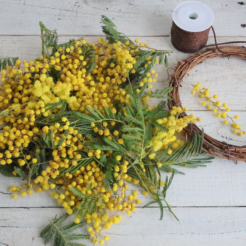 生花】ミモザとブルニアのオーバルリース /はなどんやキット - 花材