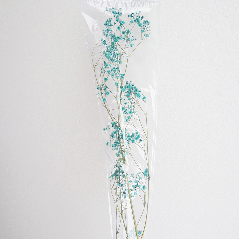 即日☆【ドライ】J・flow/染めカスミ草 空(水色) - 花材通販はなどんや