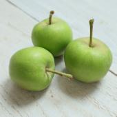 直前!!!】青リンゴ L-2Lサイズ 長野県など - 花材通販はなどんやアソシエ