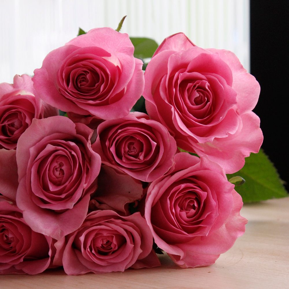 生花】バラ ブロッサムピンク【IT-23】 - 花材通販はなどんやアソシエ