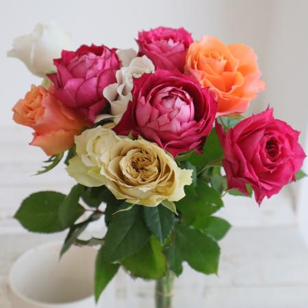 バラ(薔薇)|生花・切り花 通販 - はなどんやアソシエ