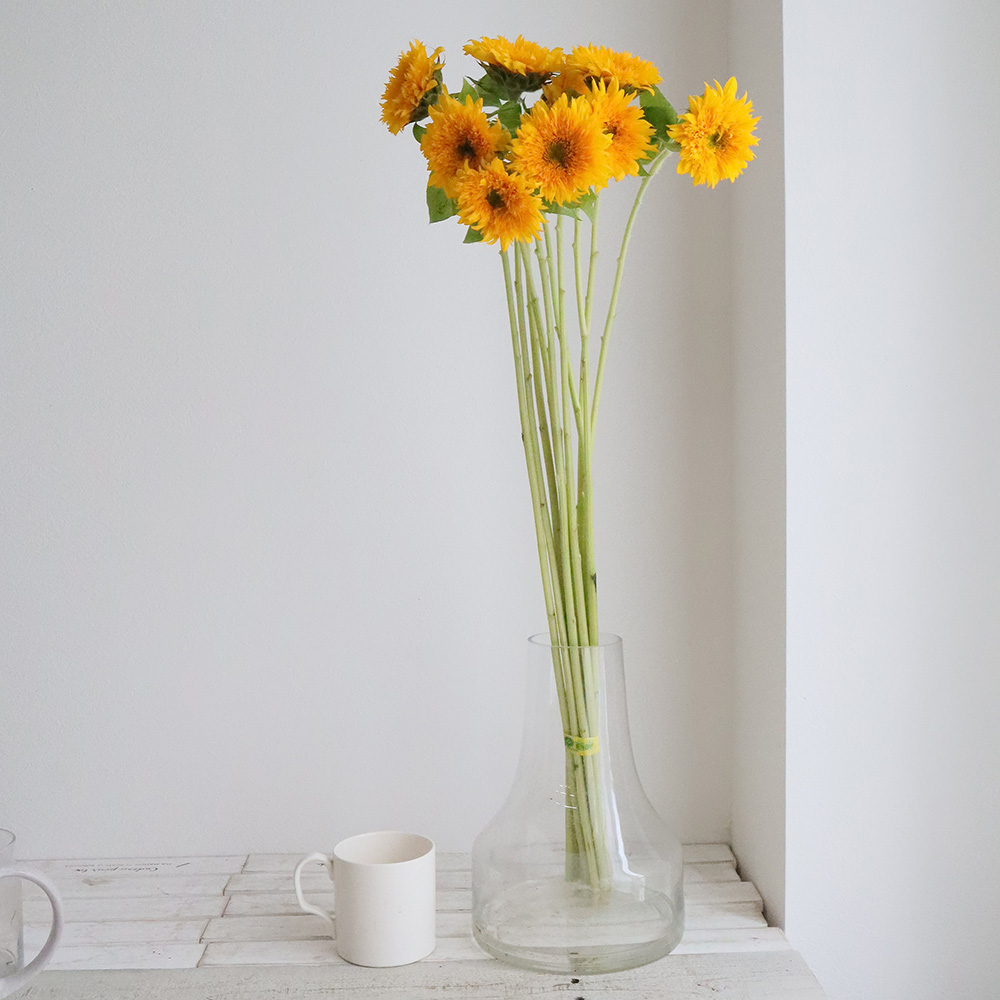 生花】ヒマワリ マヤダブル、東北八重など(オレンジ八重系)7～10cm前後