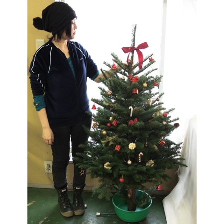 生花ご予約】本物のモミの木 クリスマスツリー(4-5feet)※宅急便不可