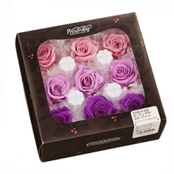 コベントガーデン/ラスティパイン・ガラスケース L /FG-06 - 花材通販