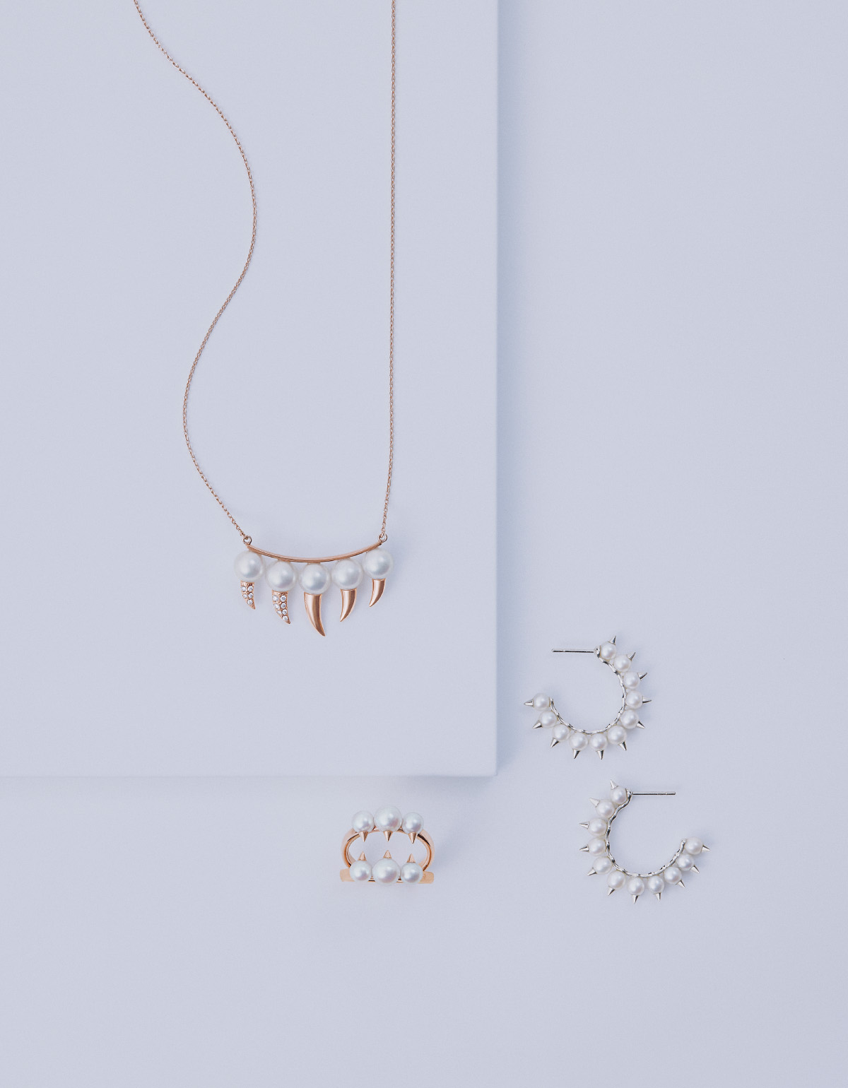 神秘的なフォルムに魅せられて | TASAKI × チェンソーマン