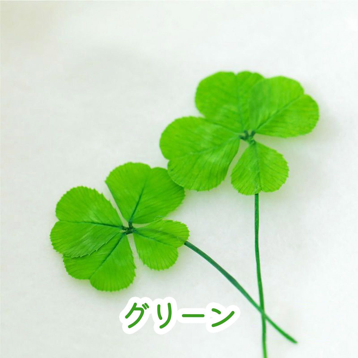 四つ葉 クローバー ドライフラワー 2枚入 4色 | クロッチャショップ