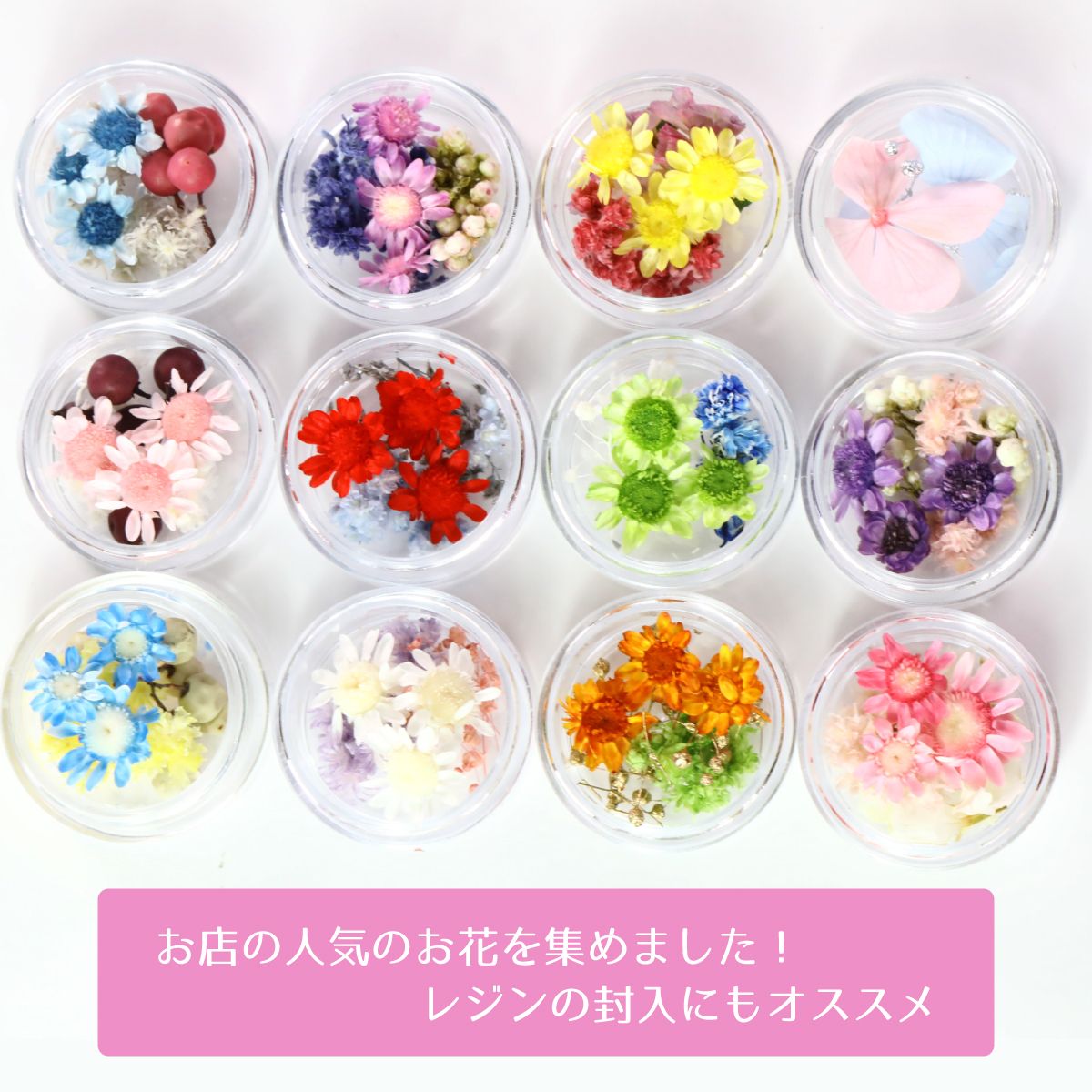 小分け】レジン 花材 スタッフ厳選〈MIX〉ドライフラワー 人気の花材