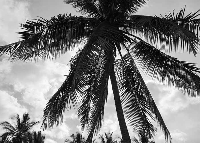 Hydro Flask | ALEXIA STAM