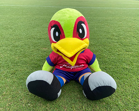 9月10日山形戦】新発売グッズ！ | ファジアーノ岡山 FAGIANO OKAYAMA