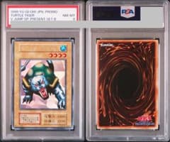 世界に4枚】遊戯王 タートル・タイガー 初期ウルトラシークレットレア