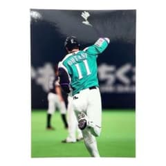 激レア+非売品】 大谷翔平 北海道日本ハムファイターズ ウイニングラン