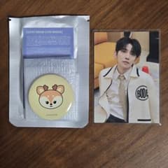 セブチ ジョシュア ミニティーン 缶バッチ・HOLIDAY トレカ - メルカリ