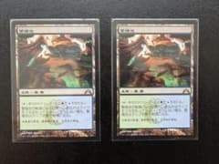 MTG 繁殖池/Breeding Pool 日 2枚 - メルカリ