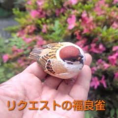 m14716391809_1.jpg?1749974867