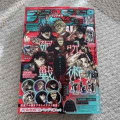 m14844189687_1.jpg?1767750573