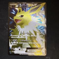 引退品】サンダースEX THE BEST OF XY 173/171 - メルカリ