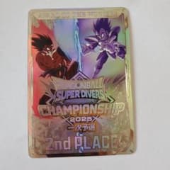 m16850020775_1.jpg?1745128184