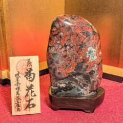 菊花石 岐阜県根尾谷産1.1㌔ 鑑賞石 観賞石 水石 盆石 天然石 置物