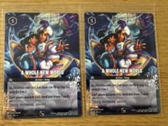 ロルカナ ホールニューワールド Whole New World 海外プロモ 2枚