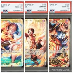 ワンピース 受け継がれる意思 3兄弟 PSA10 連番 - メルカリ