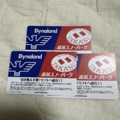 高鷲スノーパーク・ダイナランド 共通リフト券 - メルカリ