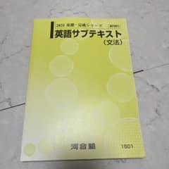 河合塾2025 基礎・完成シリーズ 英語サブテキスト (文法) - メルカリ