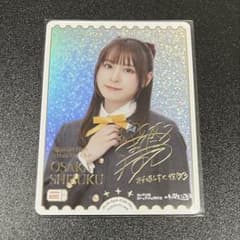 m19995315787_1.jpg?1763293155