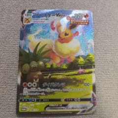 ブースターVMAX：「夏ポケカ」キャンペーン PROMO S-Pプロモカード